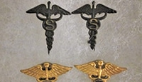 Sanitary Corp Collar Insignia